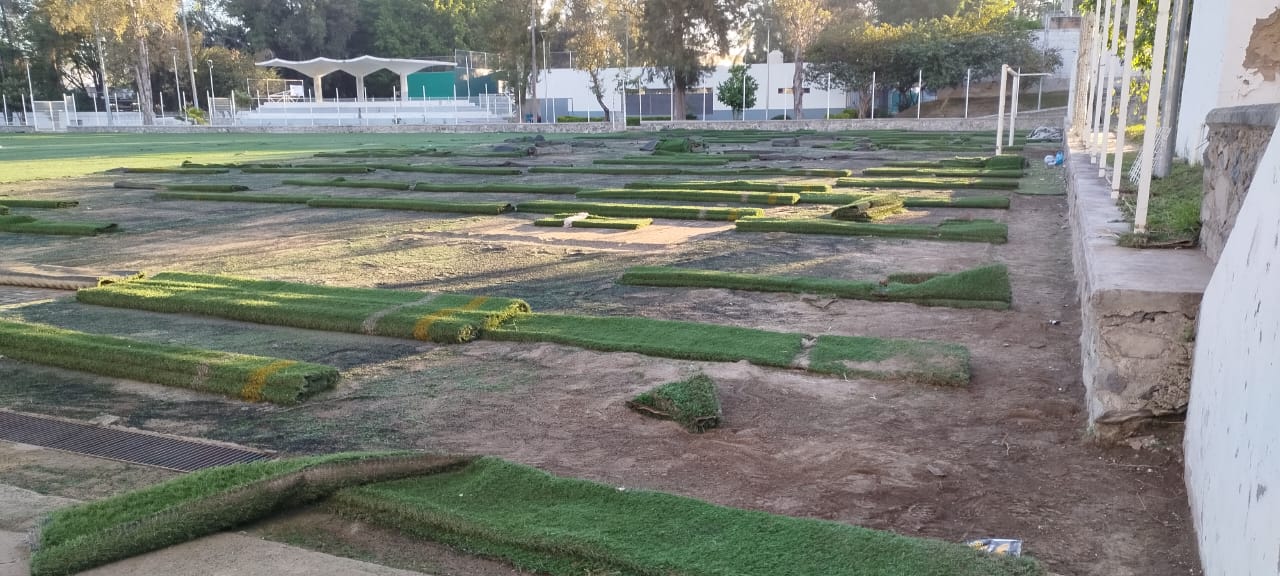 Imagen del proyecto