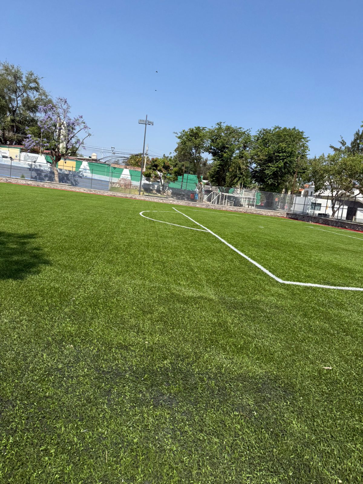Imagen del proyecto