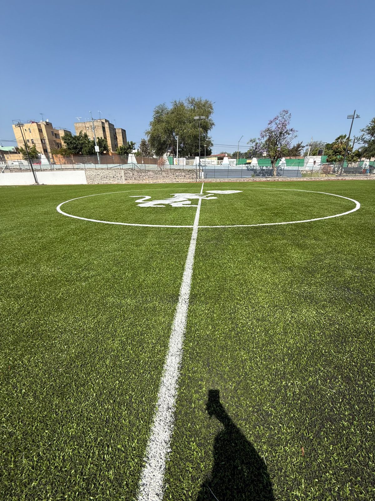 Imagen del proyecto