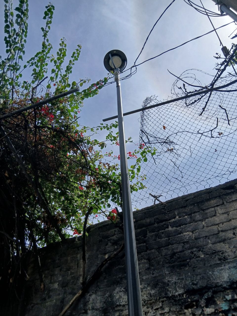 Imagen del proyecto