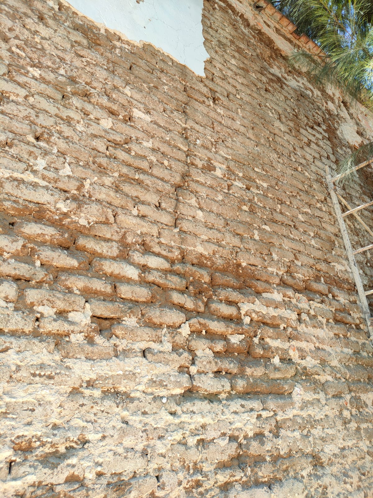Imagen del proyecto