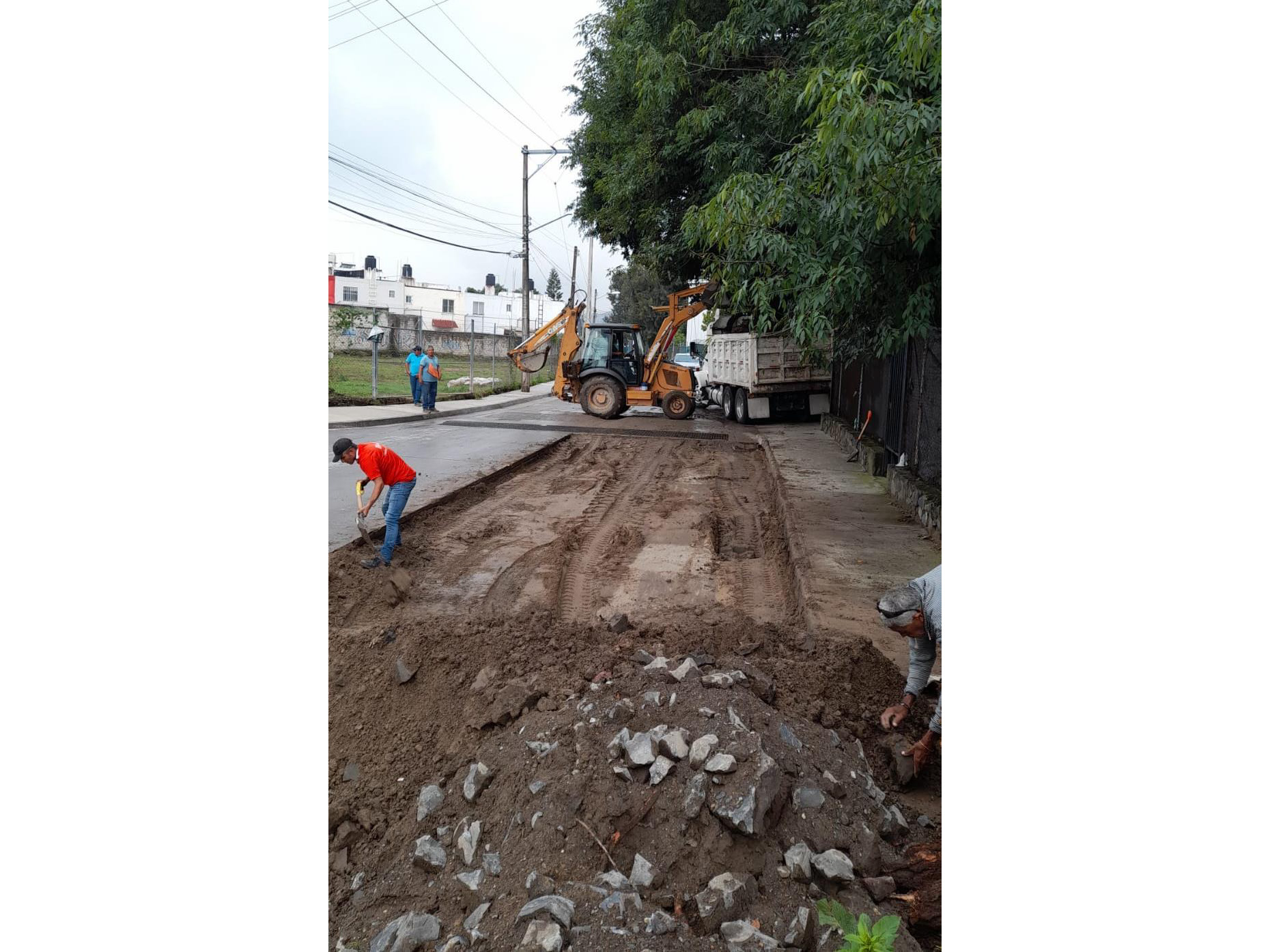 Imagen del proyecto