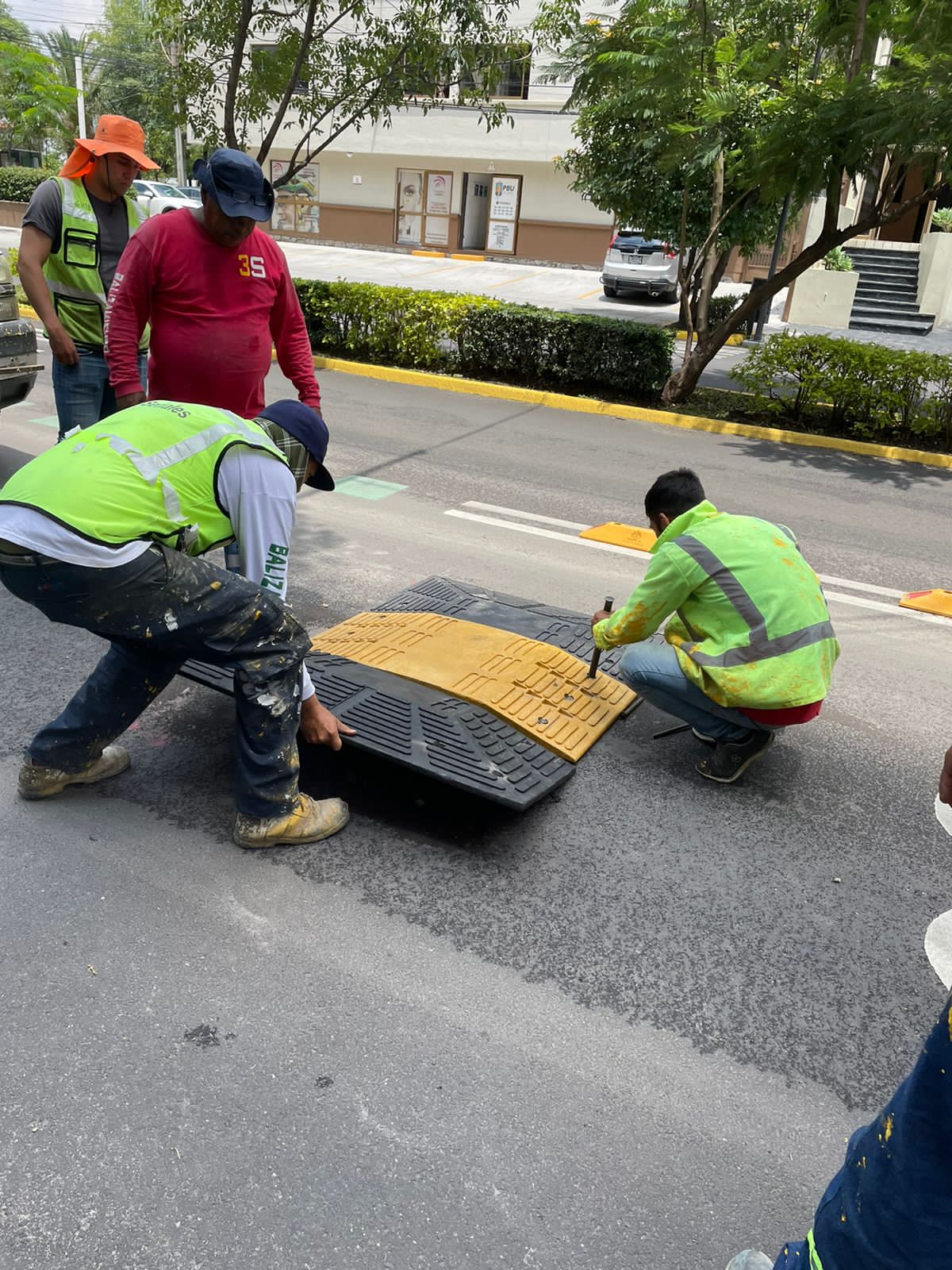 Imagen del proyecto