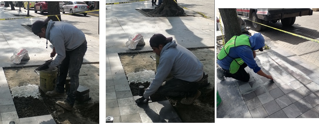 Imagen del proyecto
