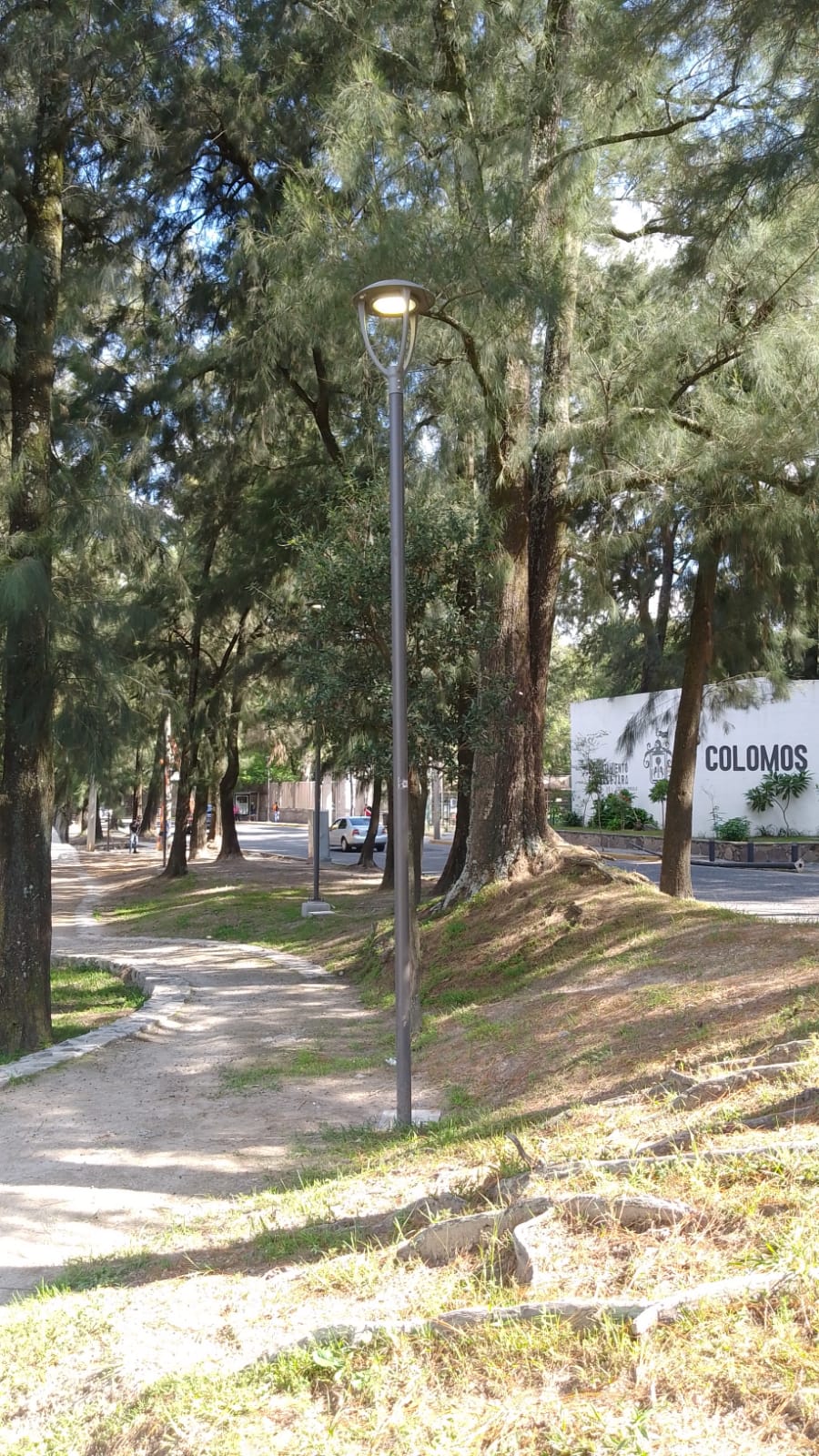 Imagen del proyecto