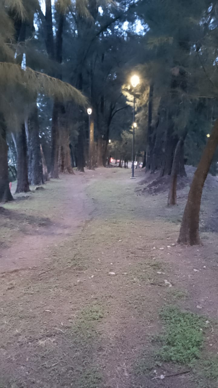 Imagen del proyecto