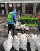 Imagen del proyecto