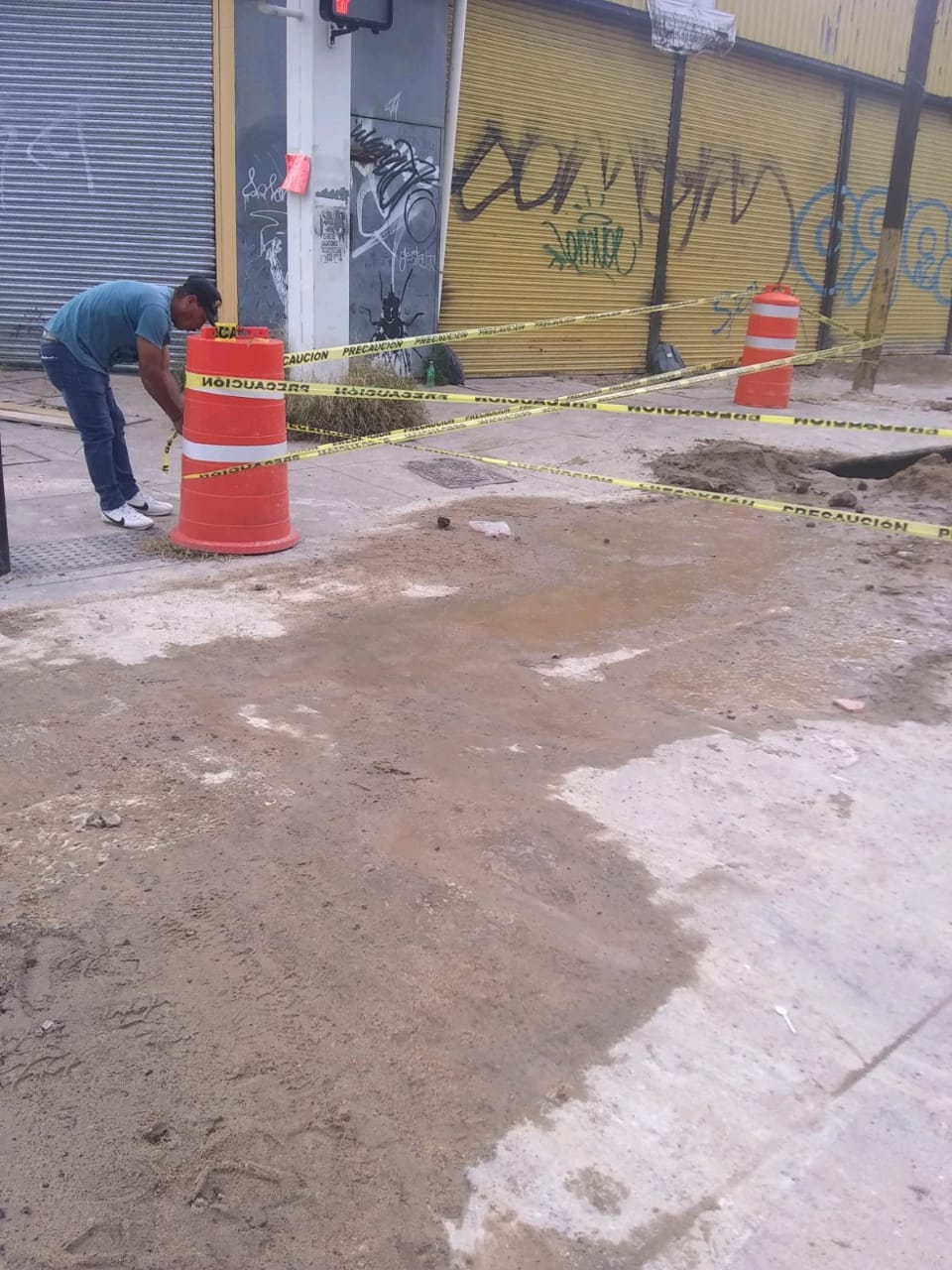 Imagen del proyecto