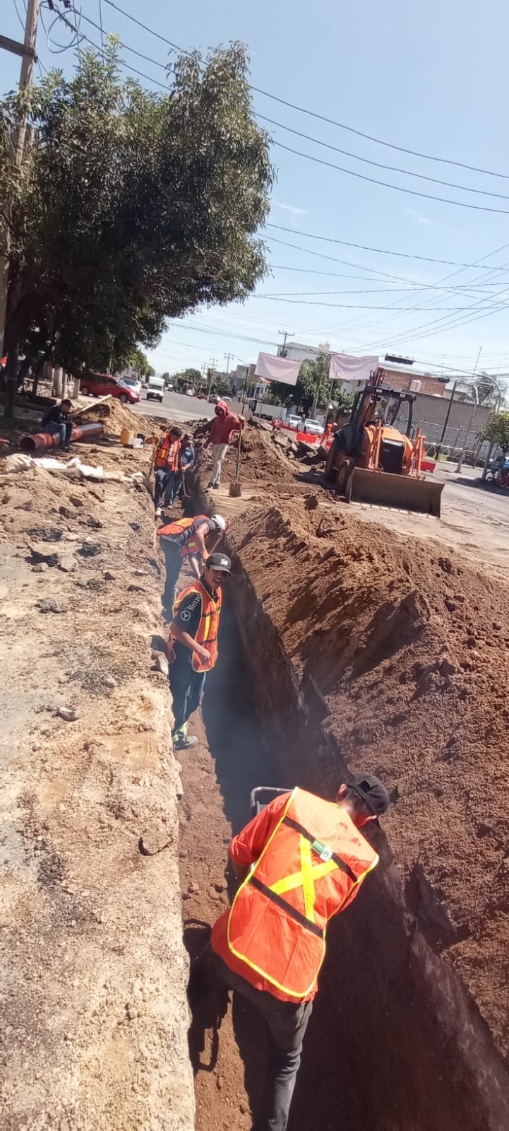Imagen del proyecto