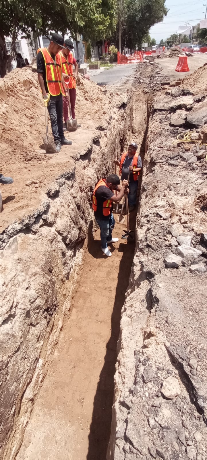 Imagen del proyecto