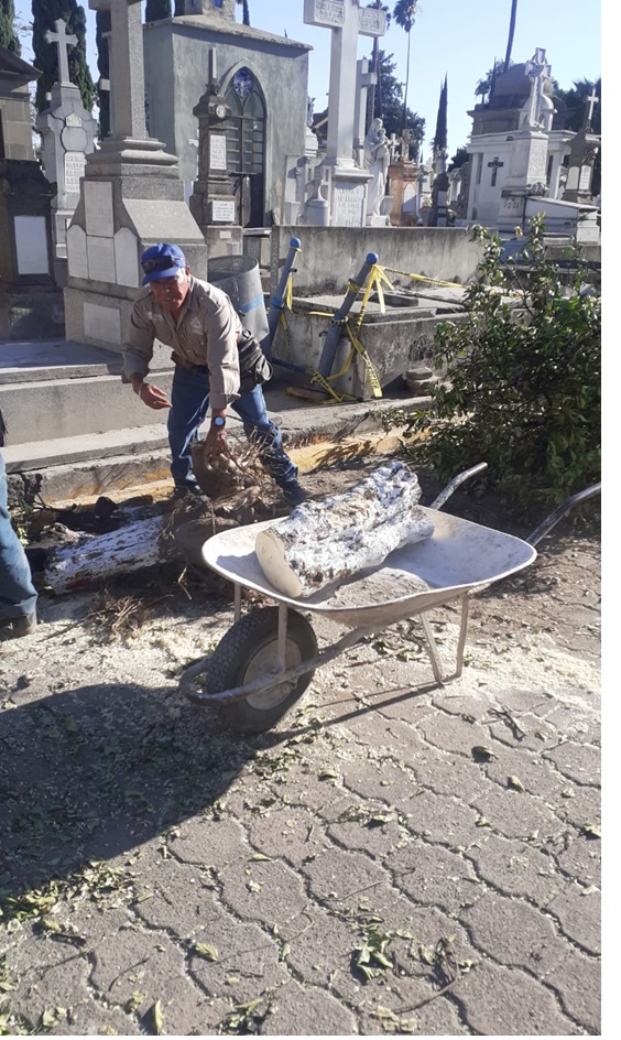 Imagen del proyecto