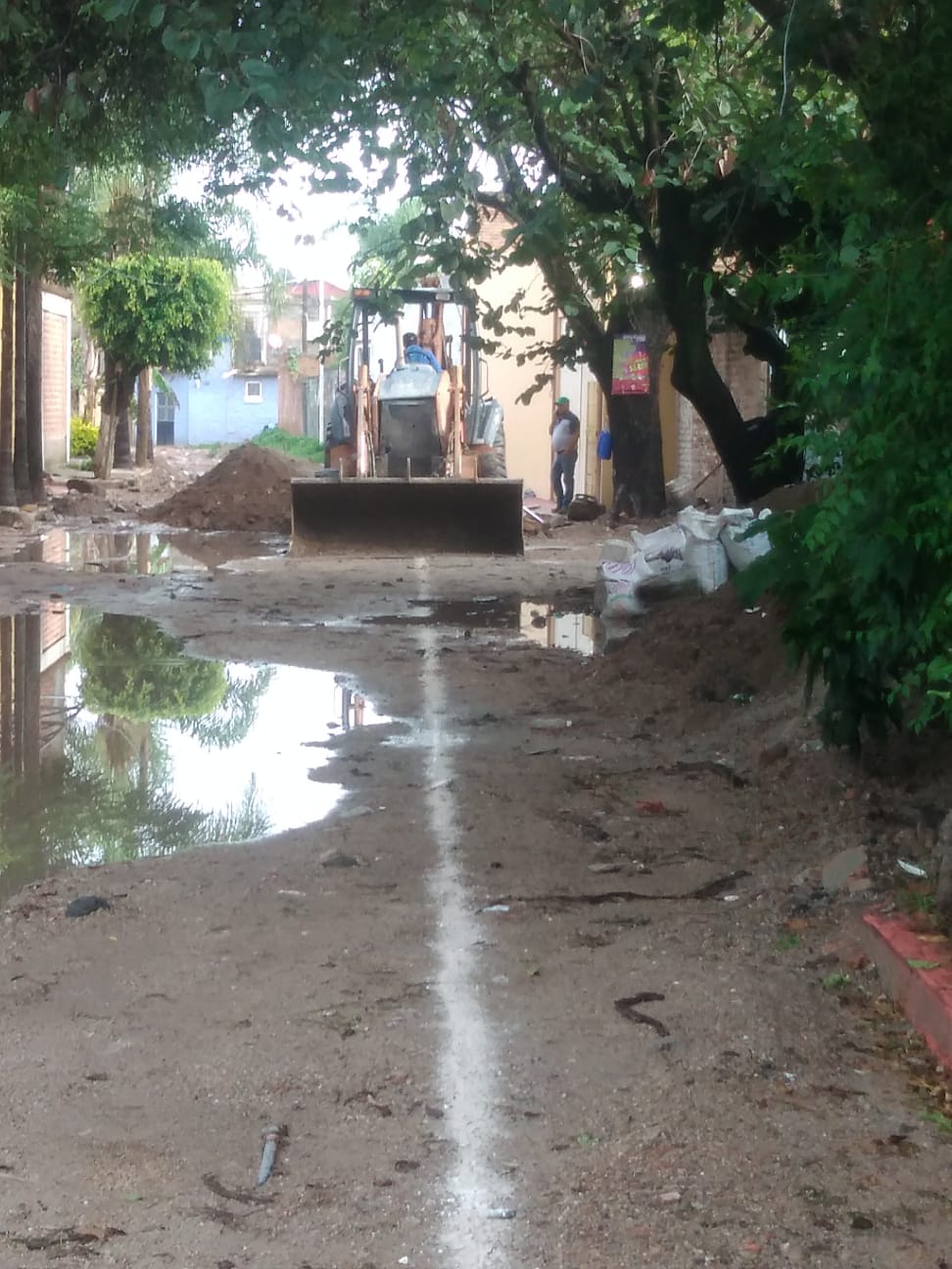 Imagen del proyecto
