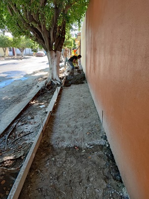 Imagen del proyecto