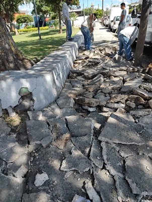 Imagen del proyecto