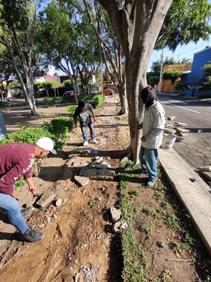 Imagen del proyecto
