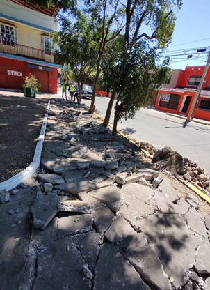 Imagen del proyecto