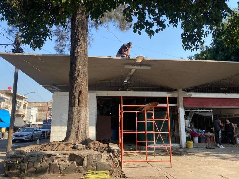 Imagen del proyecto