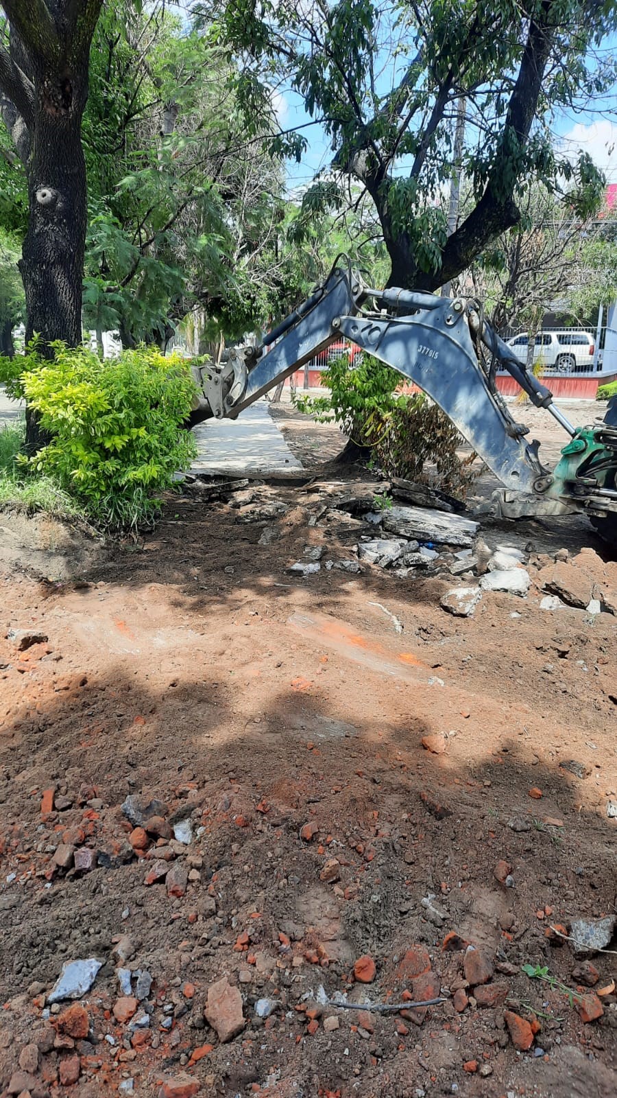 Imagen del proyecto
