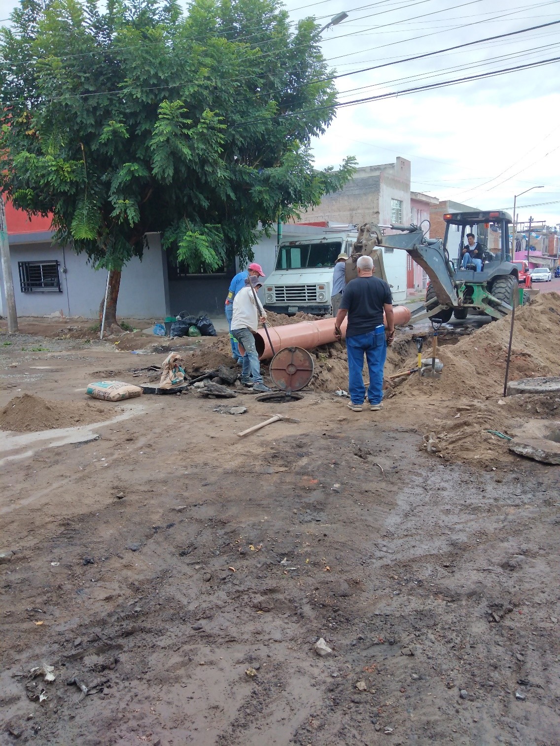 Imagen del proyecto