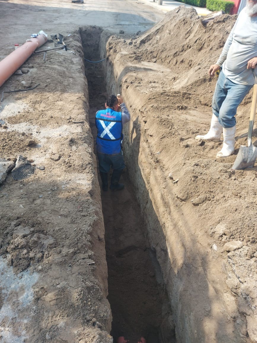 Imagen del proyecto