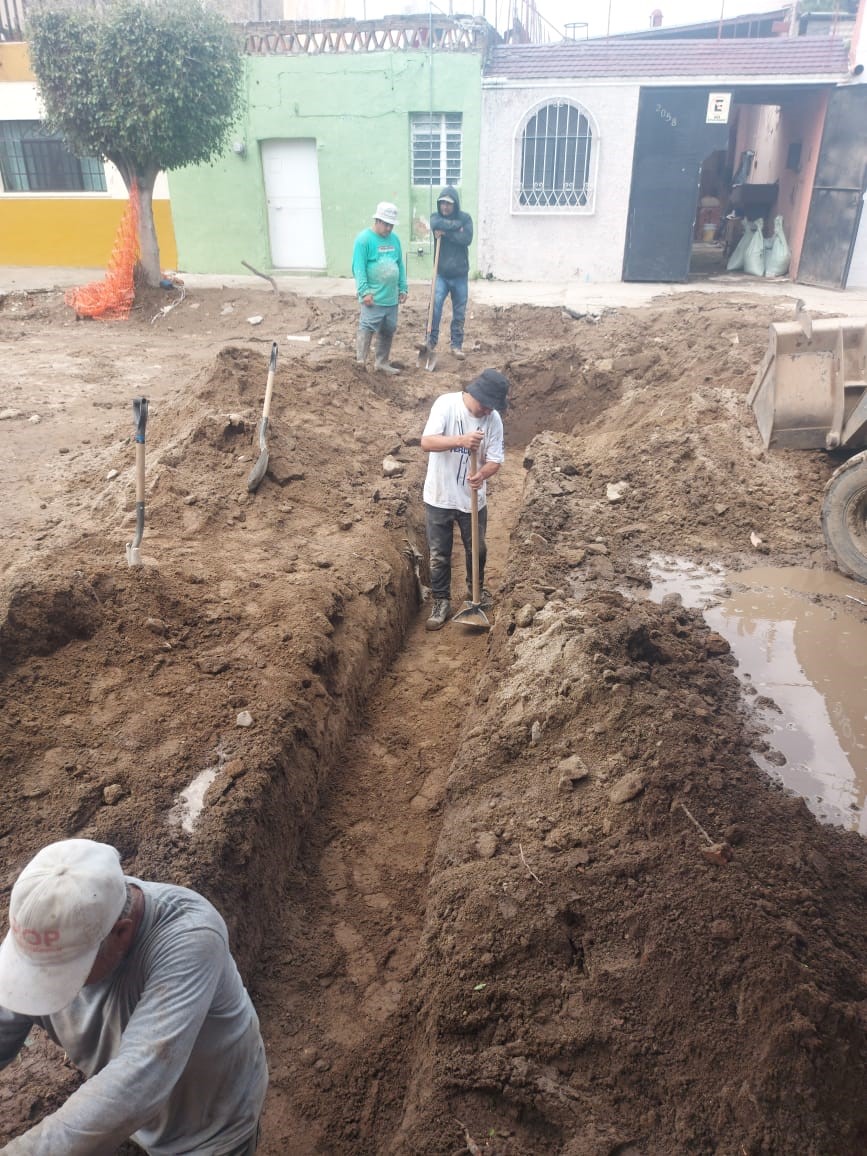 Imagen del proyecto