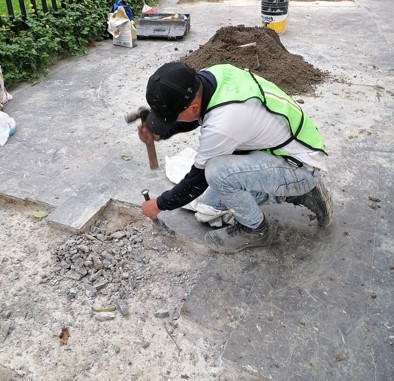 Imagen del proyecto