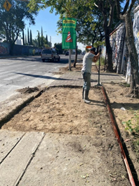 Imagen del proyecto