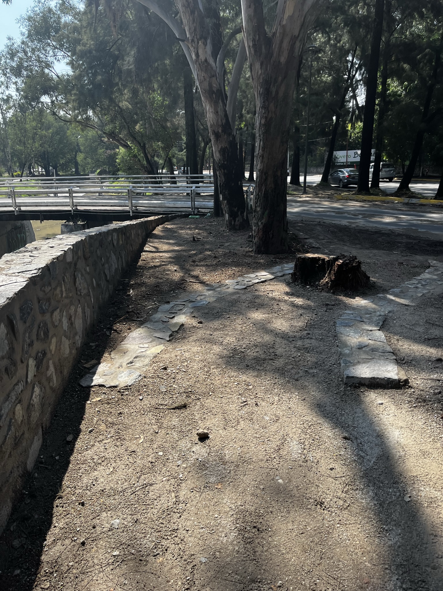 Imagen del proyecto