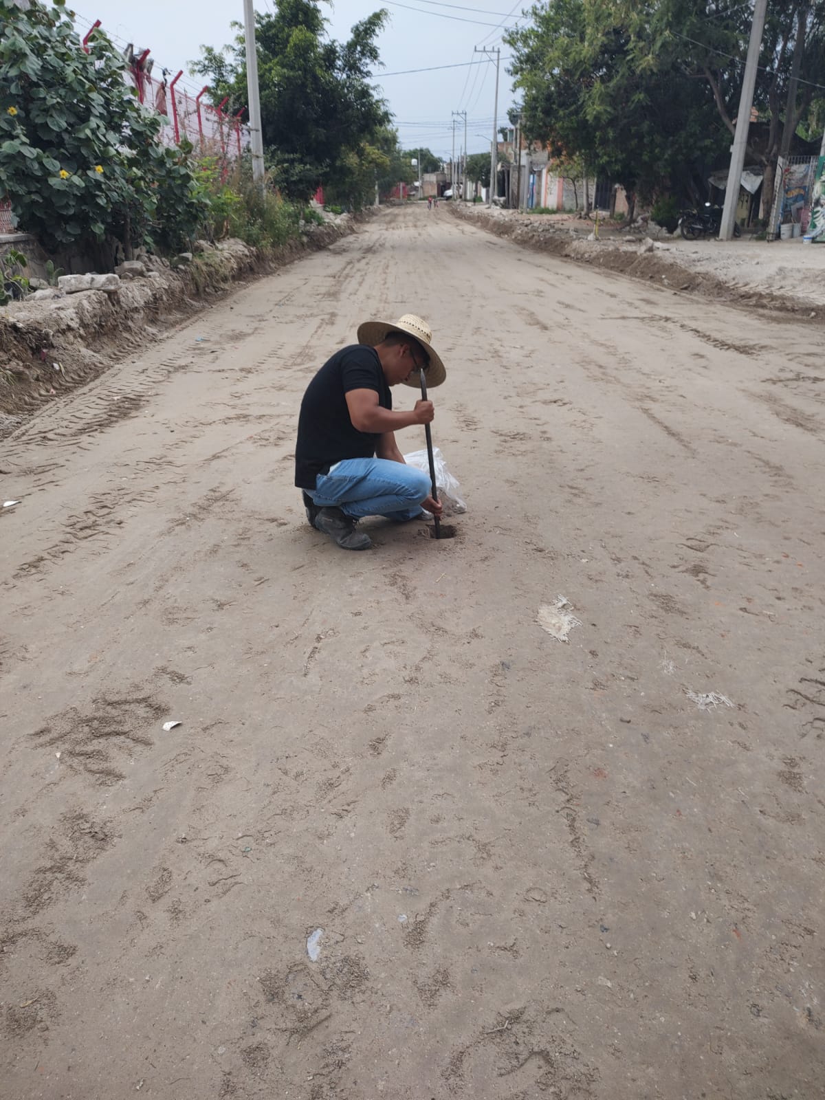 Imagen del proyecto