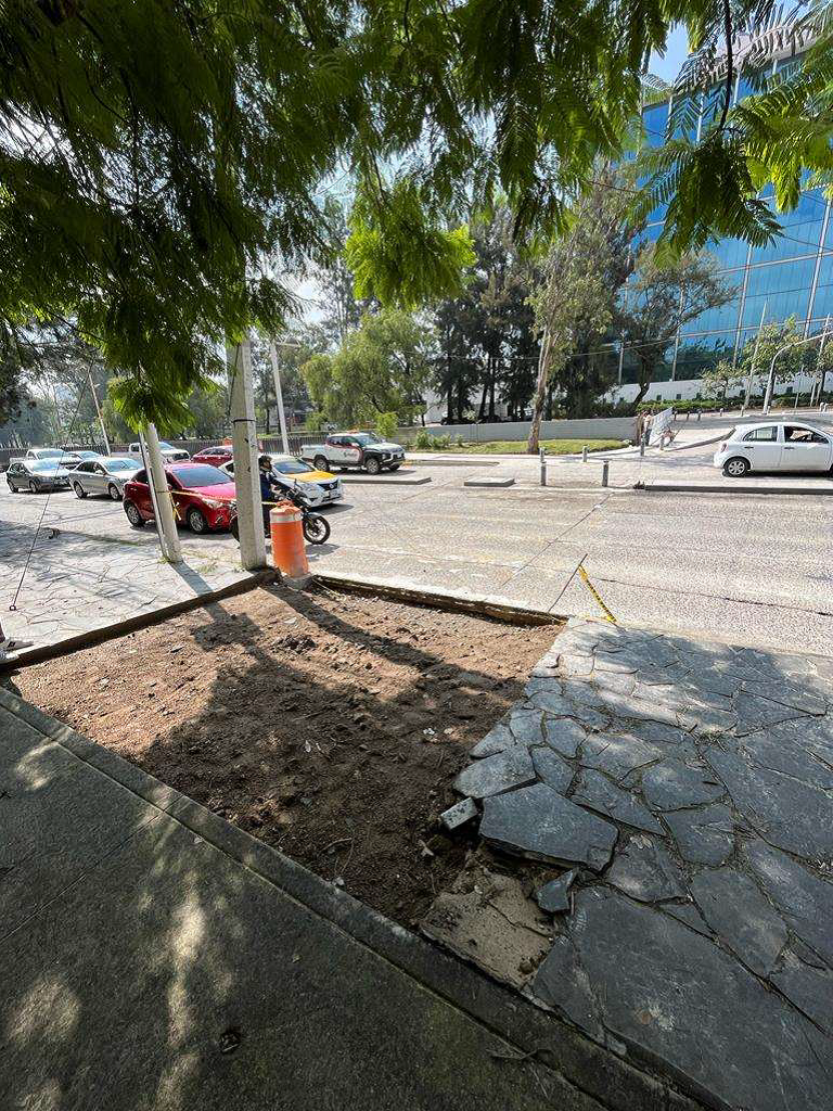 Imagen del proyecto