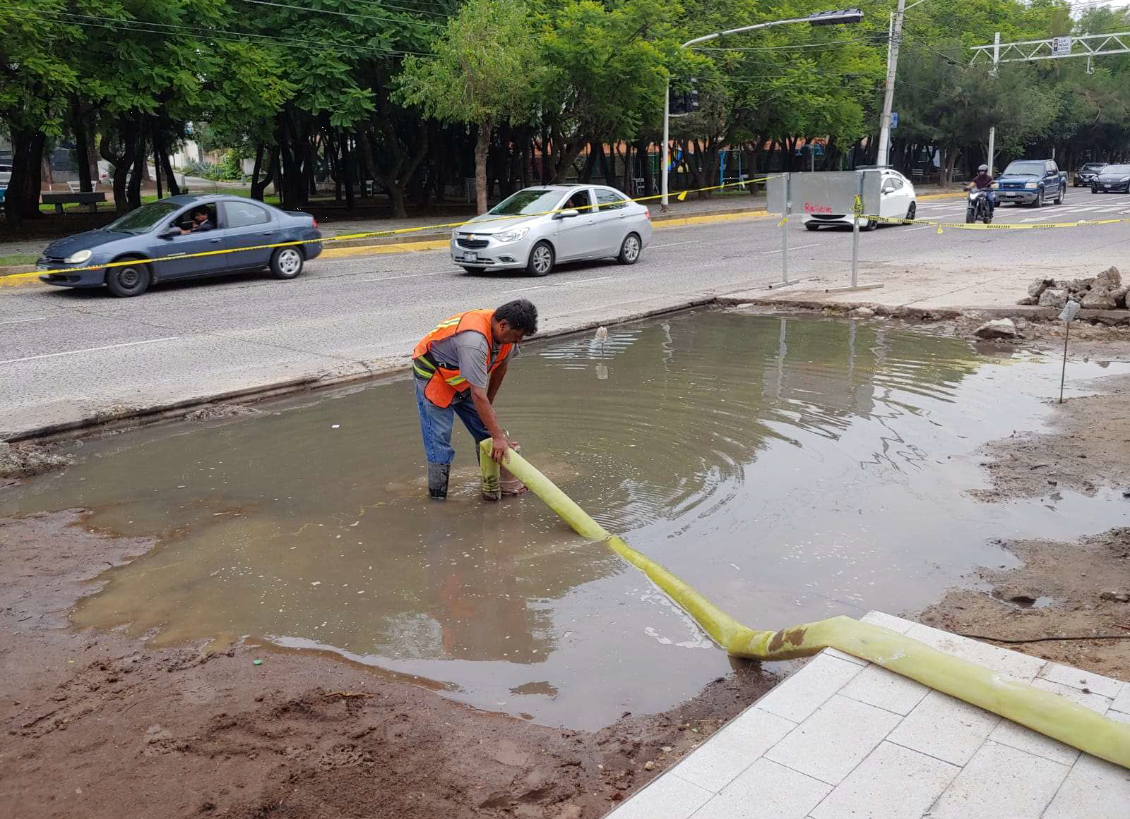 Imagen del proyecto
