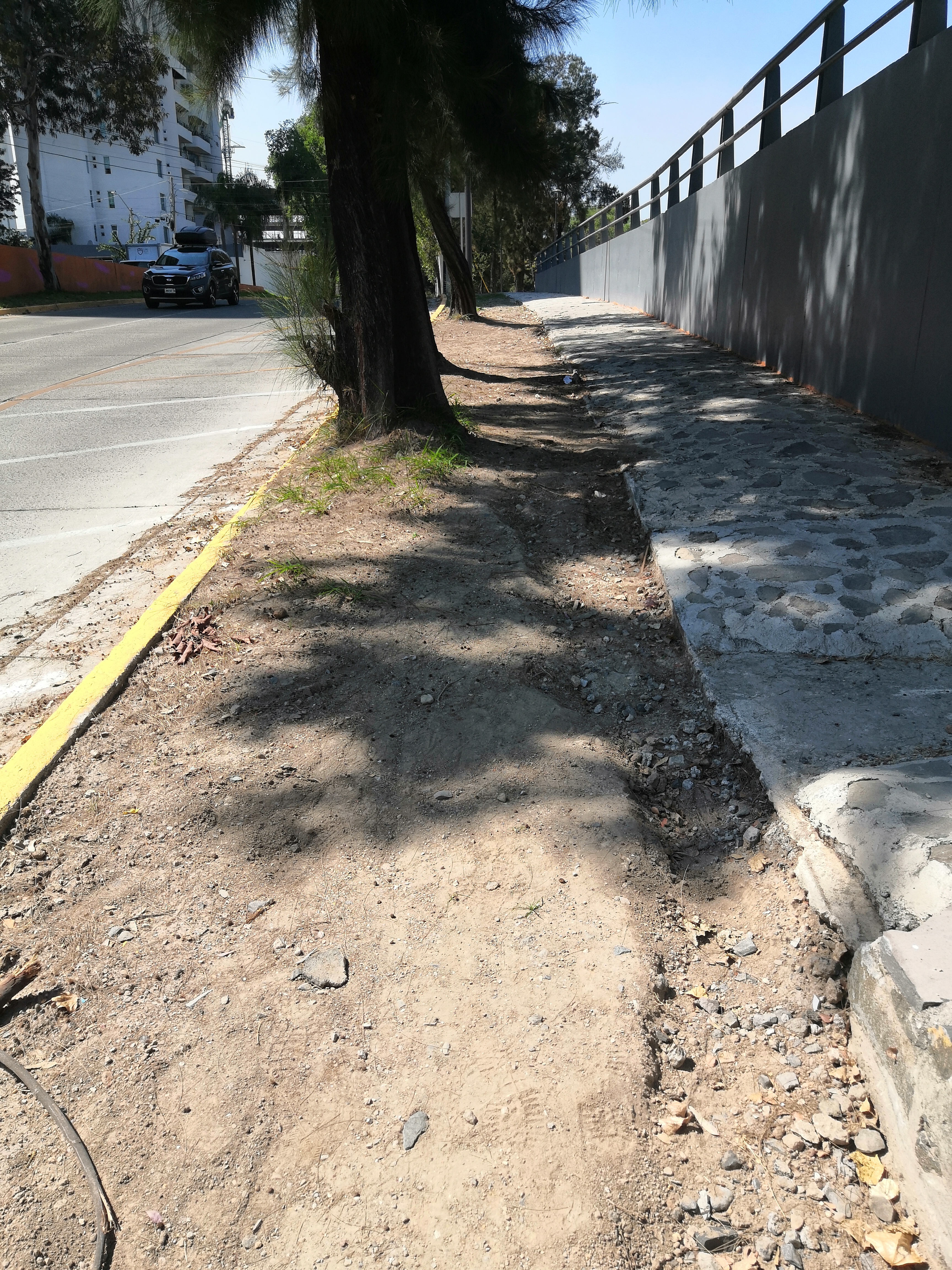Imagen del proyecto