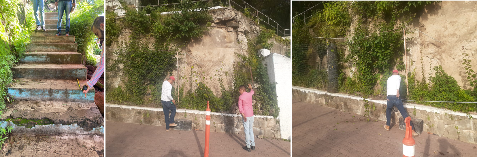Imagen del proyecto
