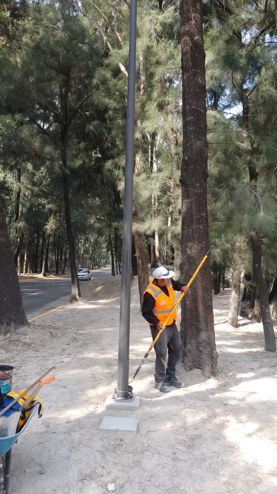 Imagen del proyecto