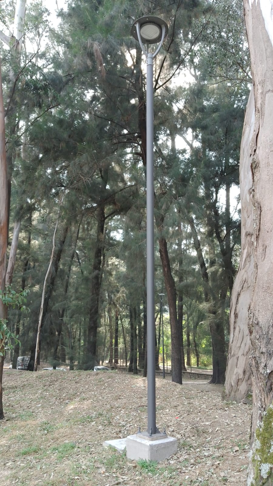 Imagen del proyecto