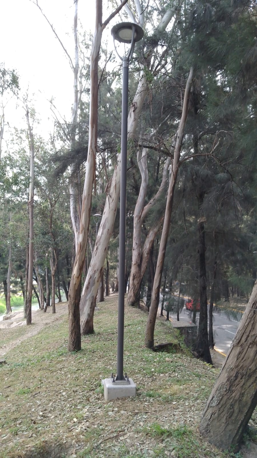 Imagen del proyecto