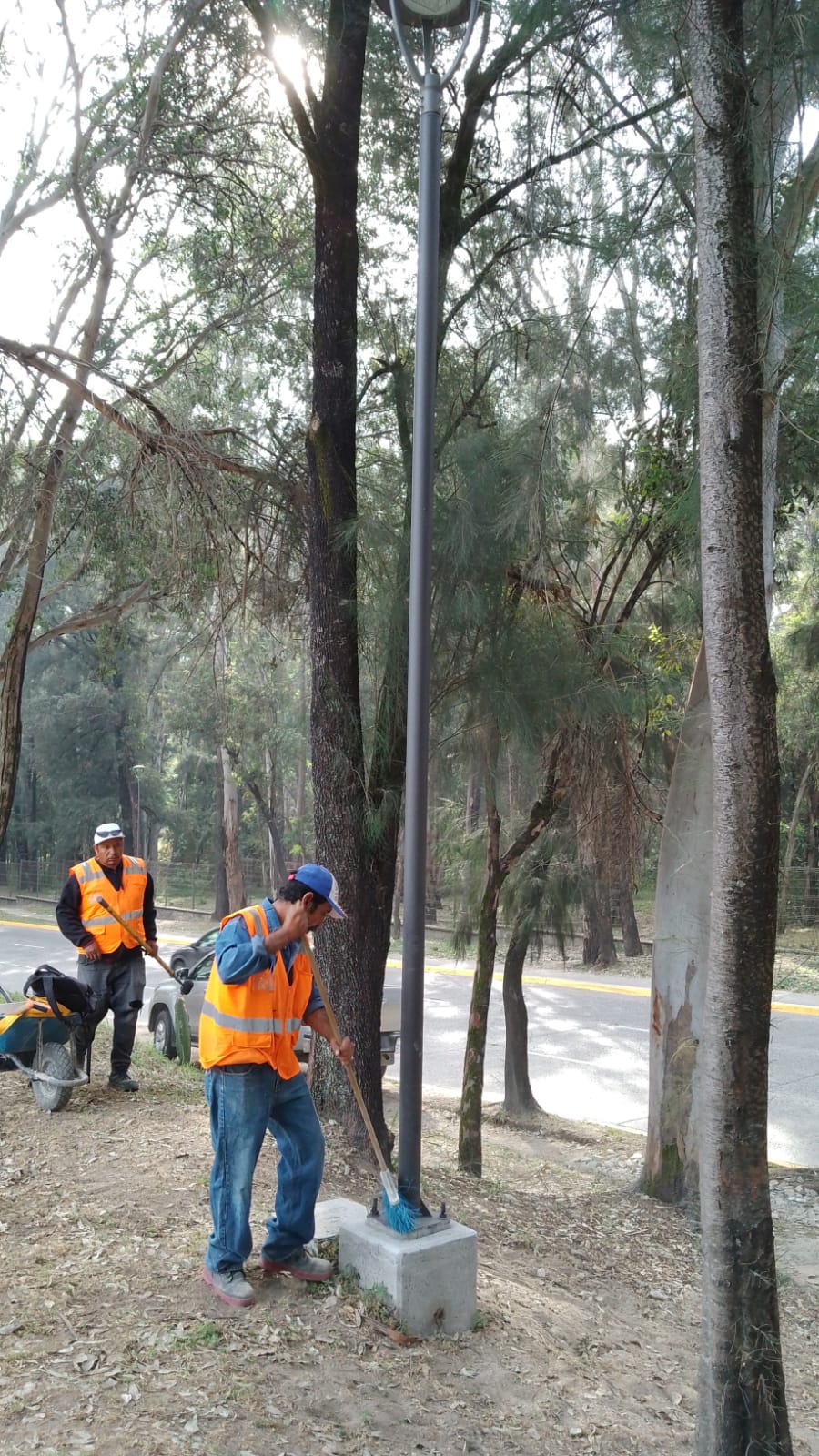 Imagen del proyecto