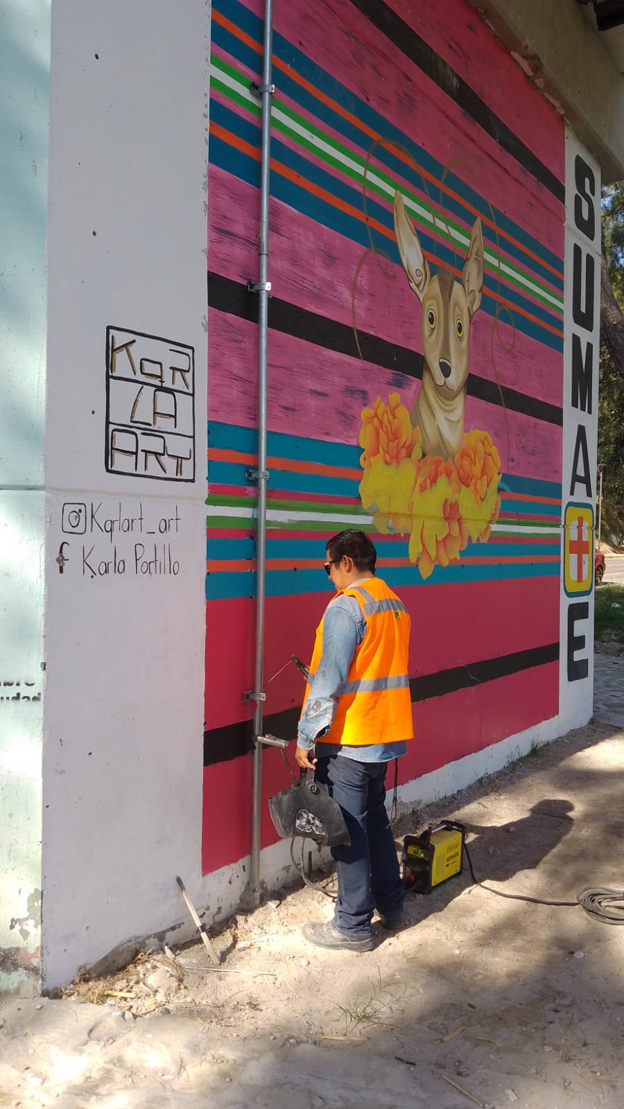 Imagen del Proyecto