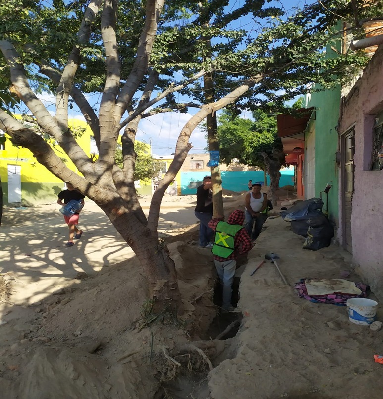Imagen del proyecto