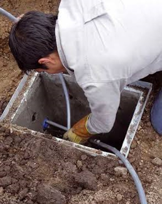Imagen del proyecto