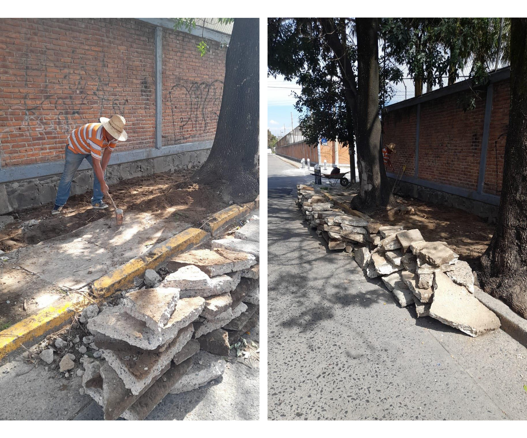 Imagen del proyecto
