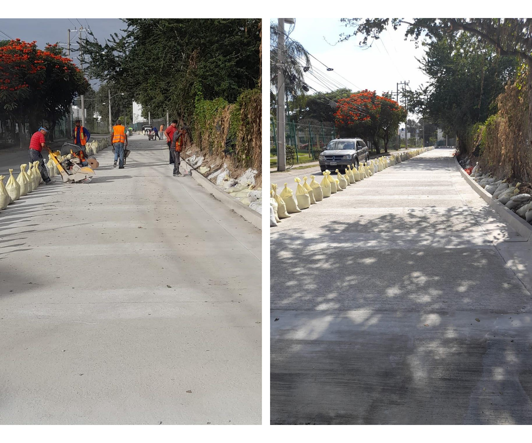 Imagen del Proyecto