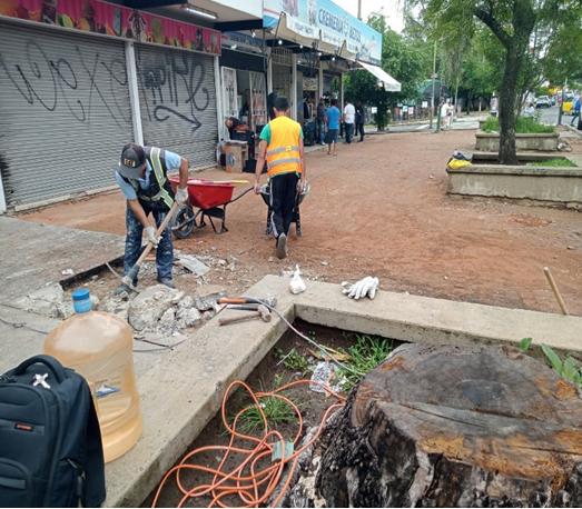 Imagen del proyecto