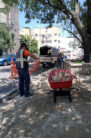 Imagen del proyecto