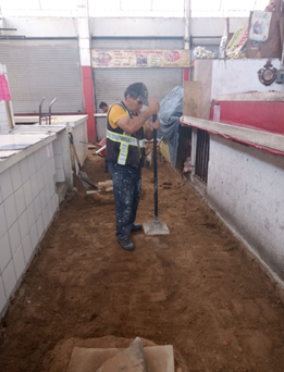 Imagen del proyecto