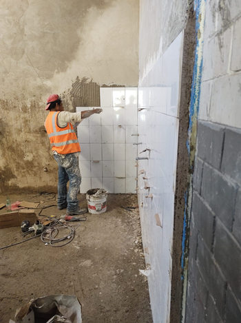 Imagen del proyecto