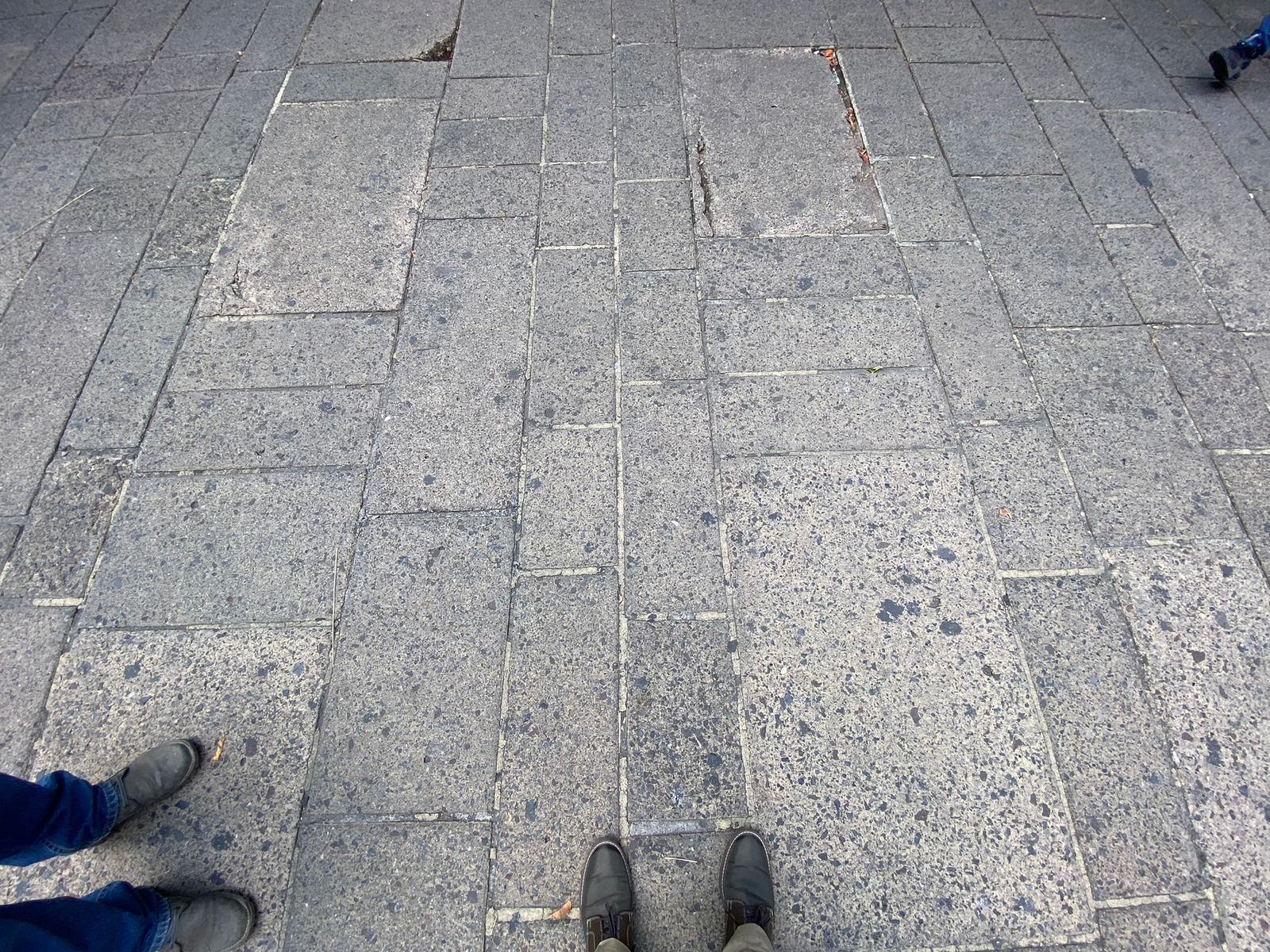 Imagen del proyecto