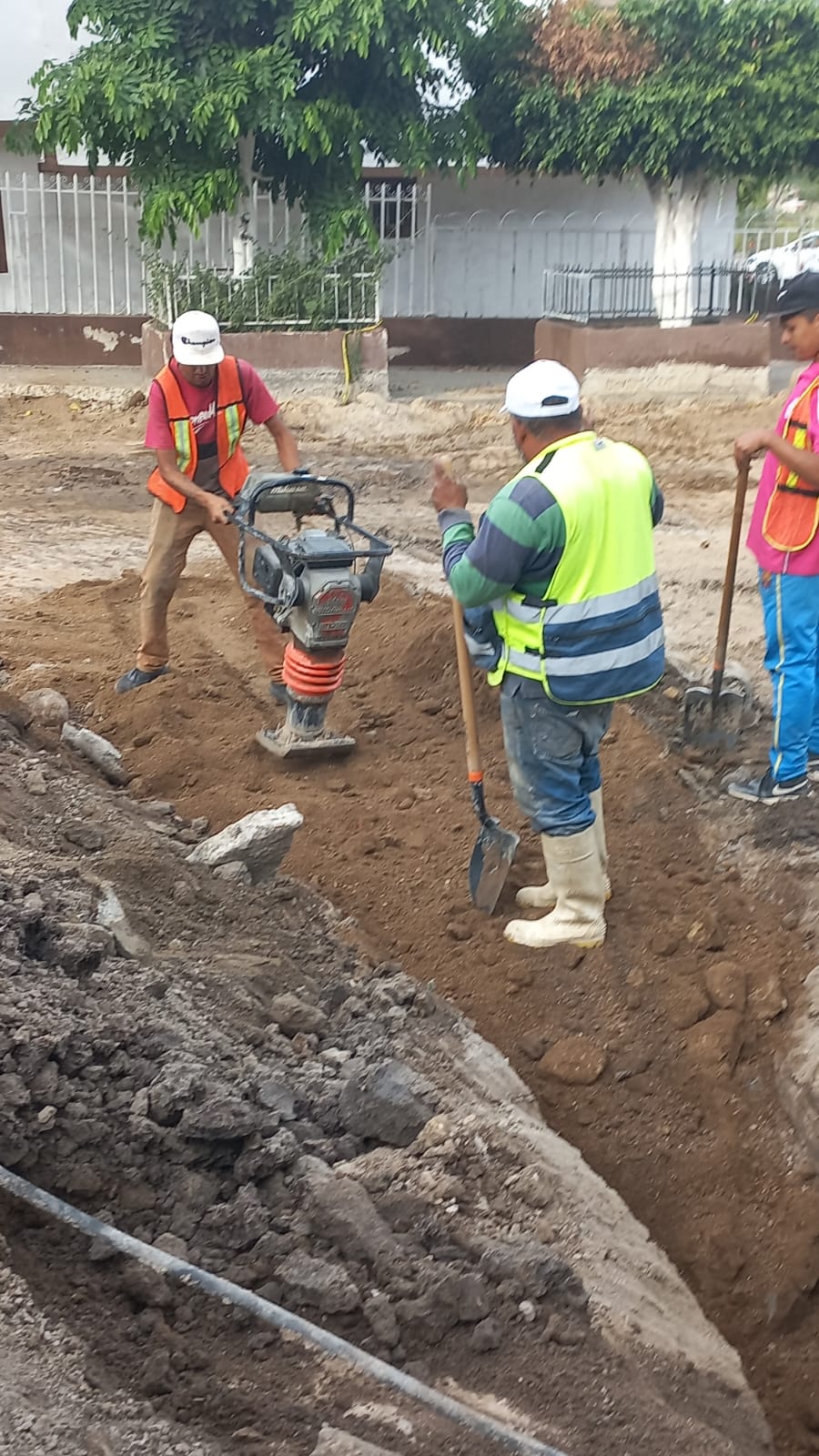 Imagen del proyecto