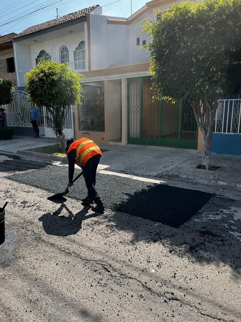 Imagen del proyecto