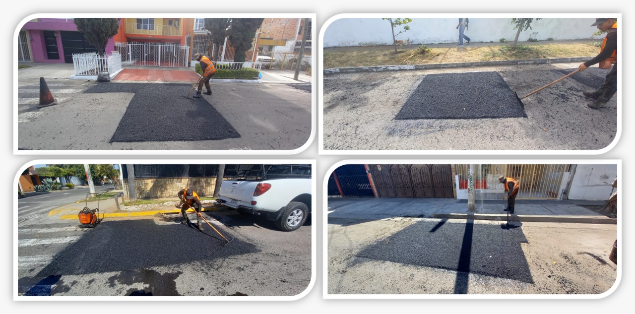 Imagen del proyecto